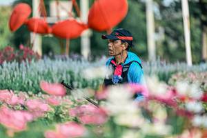 BIB: 
                            <button type="button" onclick="openModal(25933655)" class="btn btn-primary btn-sm float-right btn-popup" data-toggle="modal" data-target=".modal-high-quality">
                        <i class="fas fa-shopping-cart"></i> Add to Cart
                    </button>
                                            <button type="button" onclick="isThisMe(25933655, true)" class="btn btn-success btn-sm float-right btn-popup btn-isme hidden" data-toggle="tooltip" data-placement="bottom" title="นี่คือรูปของคุณใช่ไหม คลิกที่นี่เพื่อเอาเข้าอัลบั้ม">
                        <i class="fas fa-plus"></i> Add to album
                    </button>
                    <button type="button" onclick="isThisMe(25933655, false)" class="btn btn-warning btn-sm float-right btn-popup btn-isnotme hidden">
                        <i class="fas fa-ban"></i> Remove from album
                    </button>